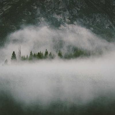 Ring Spotlight Cam Pro