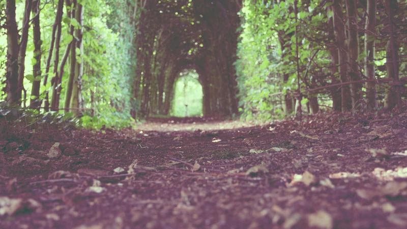 The Best Apple Watch Alternatives for Android Users - Detail Shot