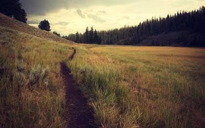 Best Smart Home Devices of 2025