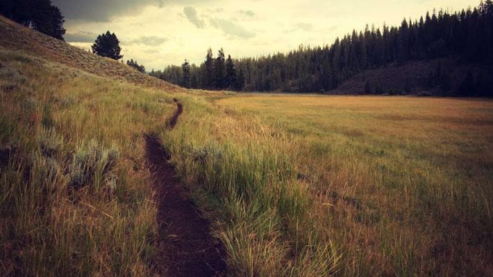 Best Smart Home Devices of 2025