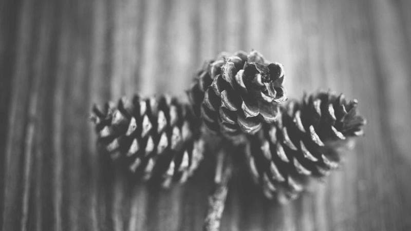 Best Wireless Headphones 2026: Expert Reviews - Detail Shot