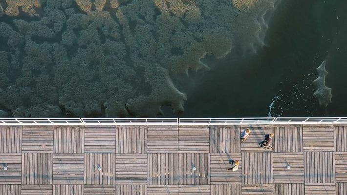 Budget 65-inch TV Reviews: Huge Screens, Small Prices