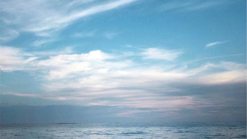 Gaming Laptops Under $1000: Performance Review - Detail Shot