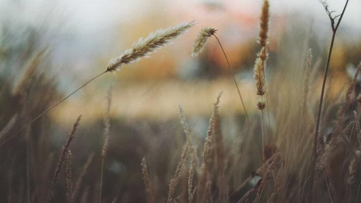 Best Gym Headphones That Won't Fall Out