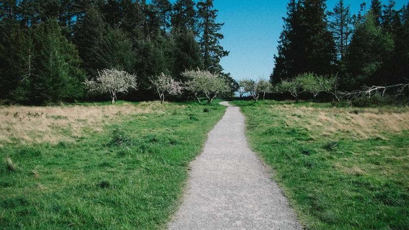 Best Gym Headphones That Won't Fall Out - Product Overview