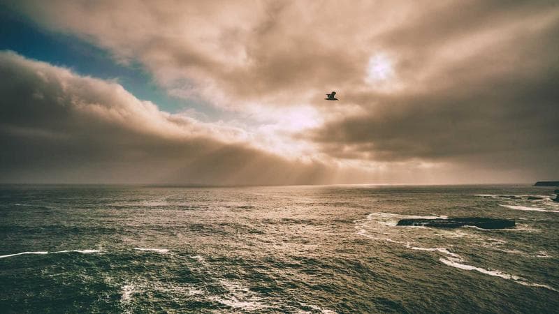 Home Theater Soundbars: Top 5 Picks for Cinematics - Detail Shot