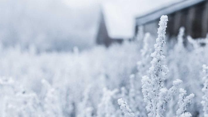 Best Laptops for Productivity and Remote Work