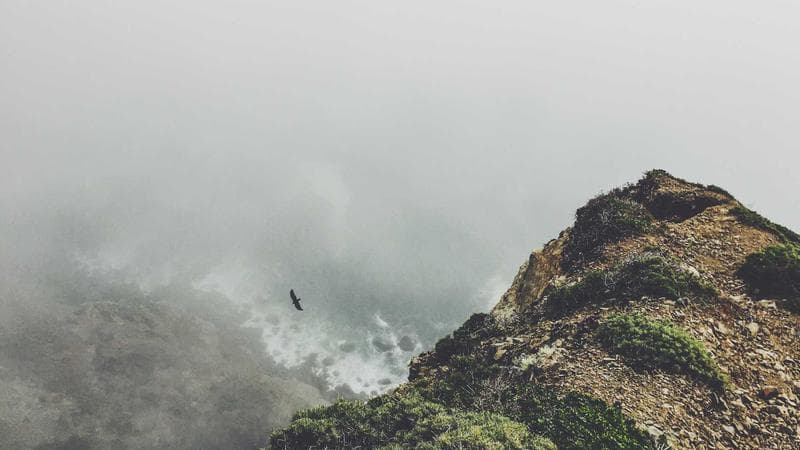 Best Monoculars of 2025: Expert Tested & Reviewed - Detail Shot