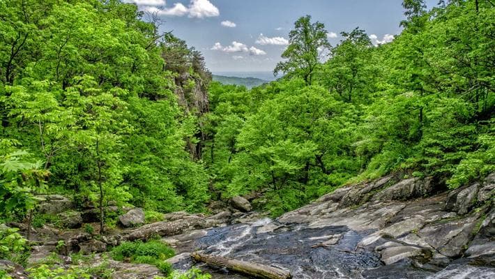 Best Smartphones for Photography in 2025