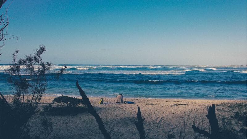 Smart Speakers Compared: Alexa vs. Google vs. Apple - Detail Shot